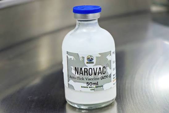 NAROVAC vial
